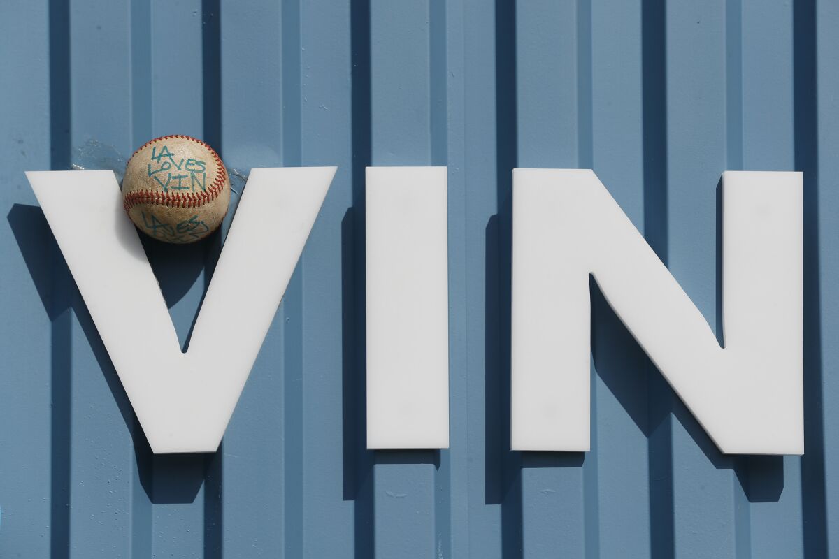 A baseball rests in the "V" in Vin