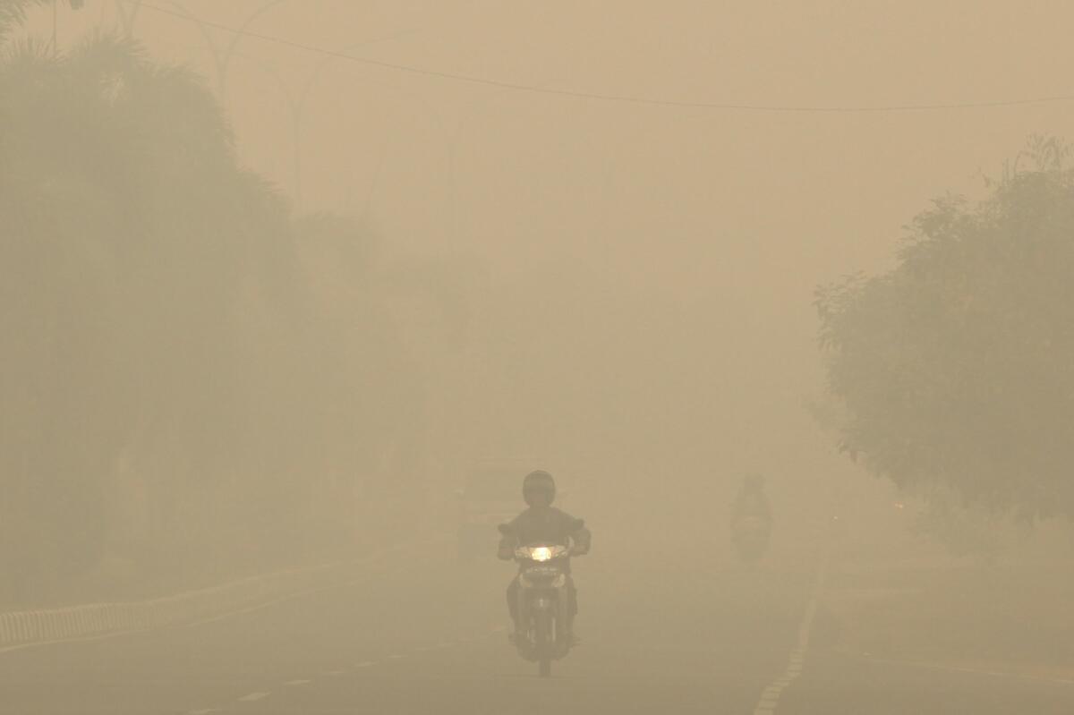 A motorists travels under a thick haze on Indonesia's Sumatra island.