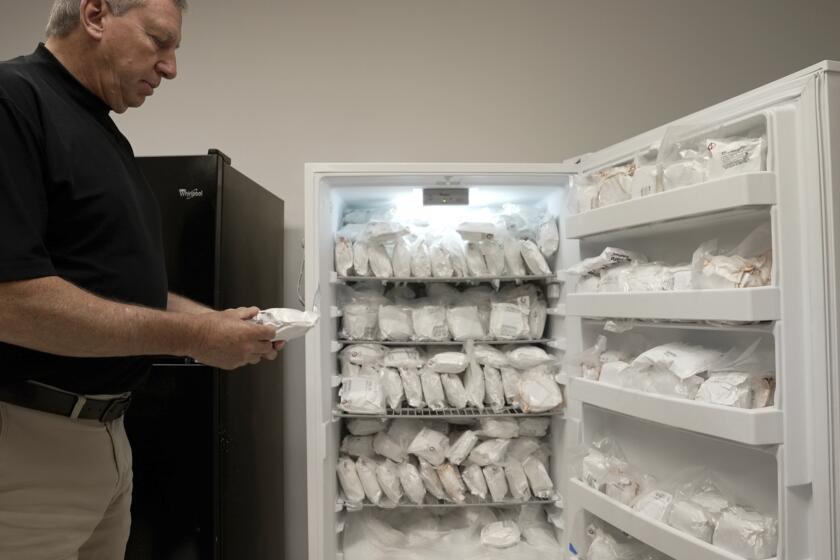 David Ayares, presidente y director de ciencias de Revivicor, sostiene un paquete de carne congelada durante una entrevista en las oficinas de la compa?ía, el 30 de mayo de 2024, en Blacksburg, Virginia. (AP Foto/Shelby Lum)