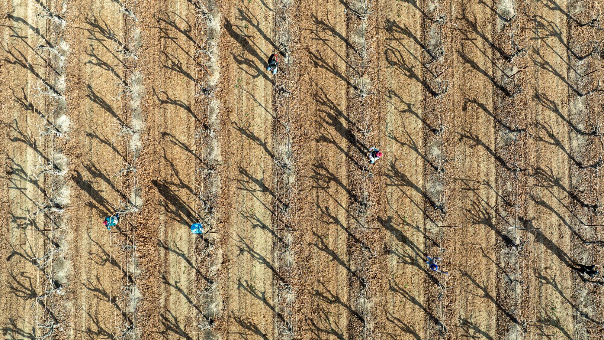 Aerial view of a farm in winter.