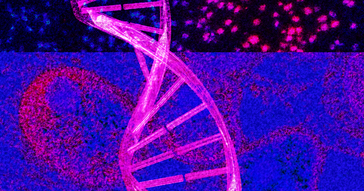 Feds collected DNA from 1.5 million migrants in under four years, report finds Feds collected DNA from 1.5 million migrants in under four years, report finds