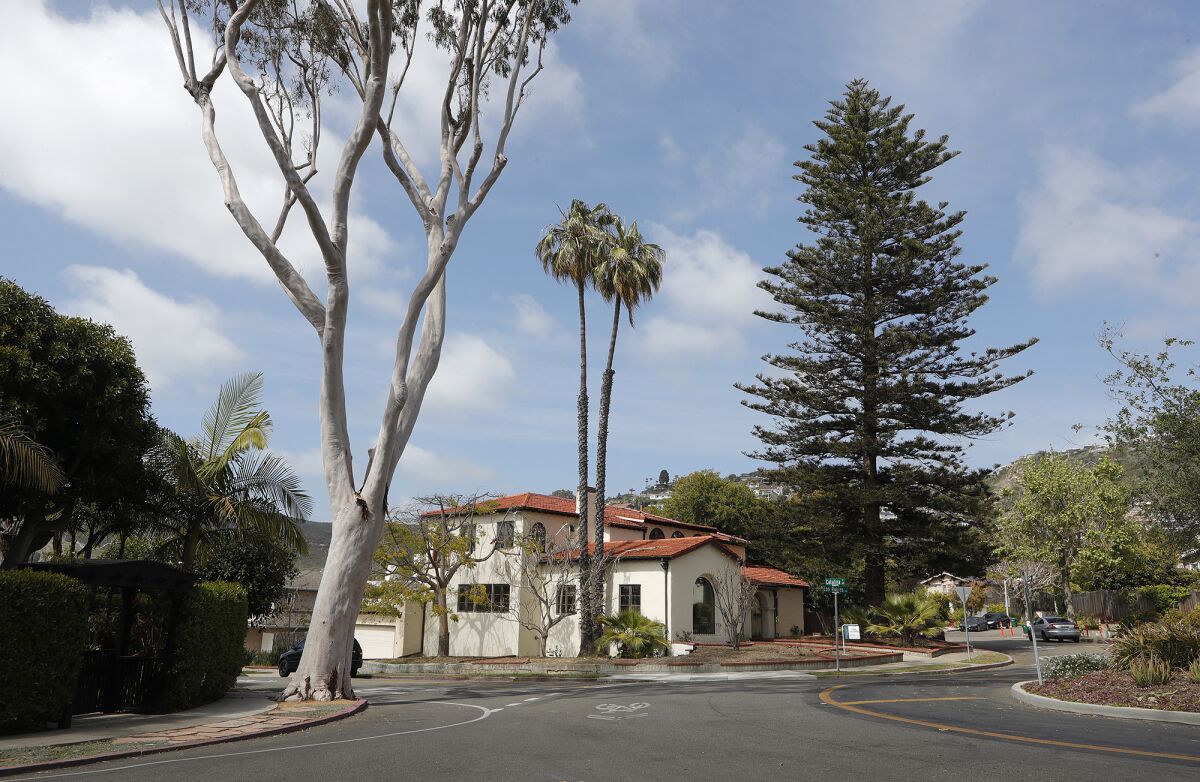 The city of Laguna Beach was just named a Tree City USA community for the third year in a row.