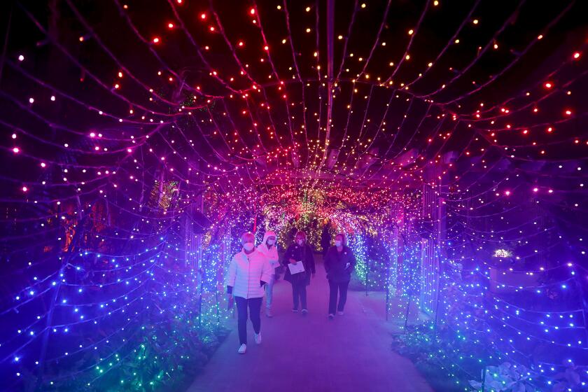 Guests walk amongst the Technicolor light tunnel during the Sherman Library and Gardens, Nights of a 1,000 Lights holiday celebration on Friday.