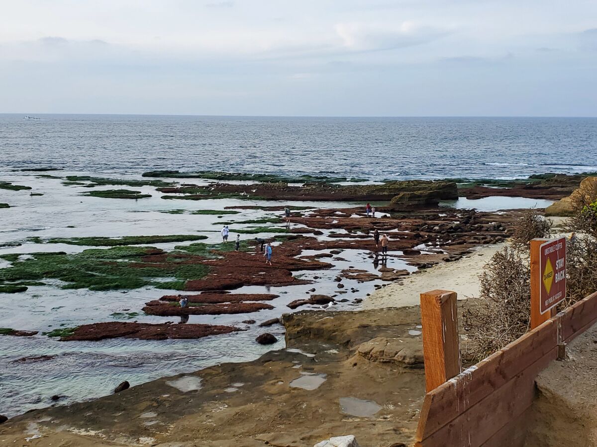 Shell Beach in La Jolla was crucial in scientific exploration around the turn of the 20th century.