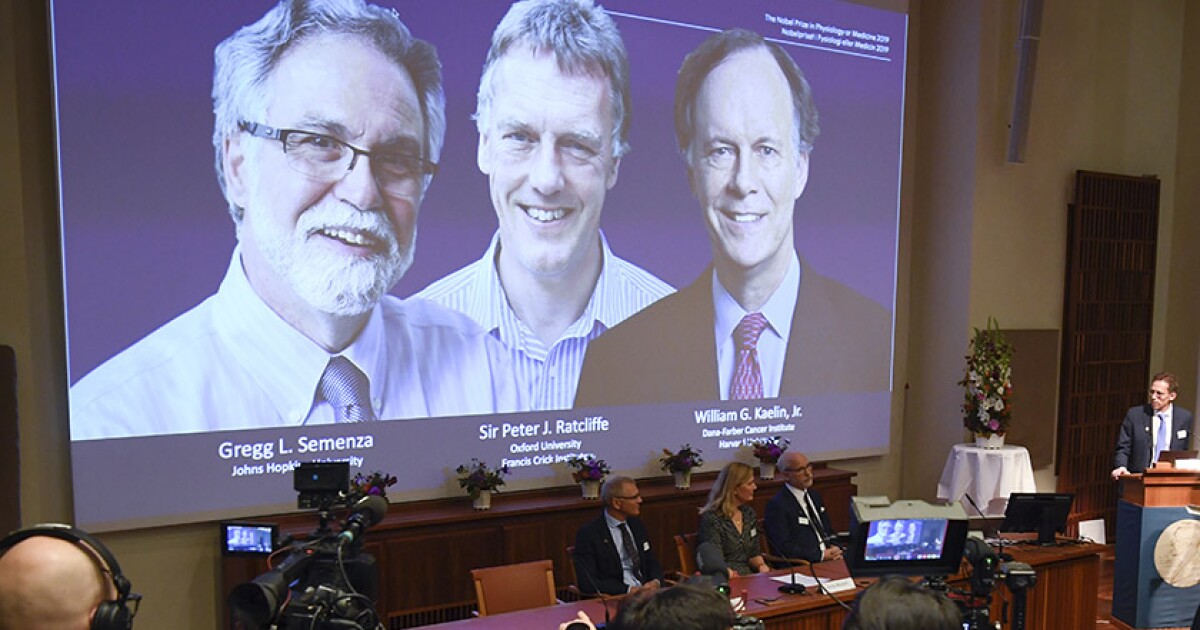 The Nobel Prize in physiology or medicine goes to three scientists