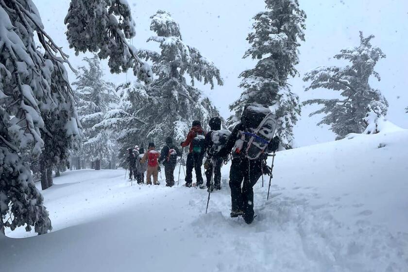 On Sunday night, the Team was paged to assist three hikers on Bear Canyon Trail who ran out of daylight on their summit attempt on Mount Baldy. Because of the storm and significant snowfall, the three were unable to locate the trail at 8,200 feet. The hikers had left their itinerary with relatives, who notified authorities. Given adverse weather and the potential difficulty of the operation, San Dimas Mountain Rescue requested assistance from Sierra Madre Search and Rescue. Because the hikers were equipped with a tent and sleeping bags, they were instructed to shelter in place overnight until SAR personnel could meet them and hike out with them. San Dimas directed them to a CalTopo link to mark their location on the map and stayed in contact with the hikers throughout the night. Early Monday morning, five members of Sierra Madre and three San Dimas personnel began the four-mile ascent to the hikers' location. At approximately 1 p.m. the rescuers met the subjects where they had sheltered between rocks to block the 50 mph winds they experienced overnight. After a medical assessment, the rescuers provided care and began their descent with the subjects. A second Sierra Madre crew was sent into the field with hot chocolate, tea, and sandwiches for the hikers and rescuers, rendezvousing at Bear Flats. By 5 p.m., all teams were off the mountain. Many preparedness lessons can be learned from this incident, and there were many things they did right that we wanted to highlight: - The hikers left their itinerary with a family member who knew how to reach out to SAR - They turned around instead of continuing when conditions deteriorated - They were well equipped with appropriate gear for the conditions - They remained in place overnight, sheltering between two rocks - They carried a whistle which proved key in locating them We believe this preparation contributed directly to why these three hikers are alive and back home today. We'd like to remind hikers that the Ten Esse