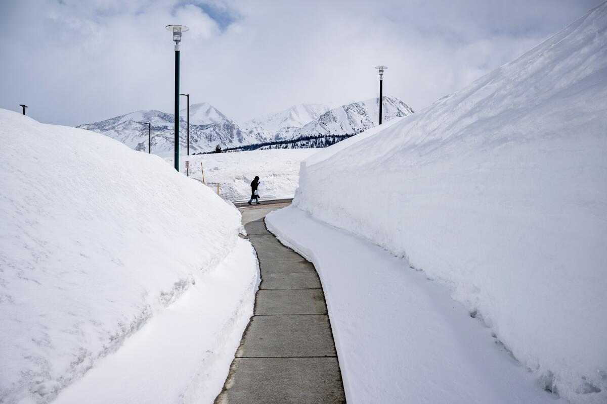 Giant snow berms line the path at Cerro Coso Community College on April 3, 2023 in Mammoth Lakes.