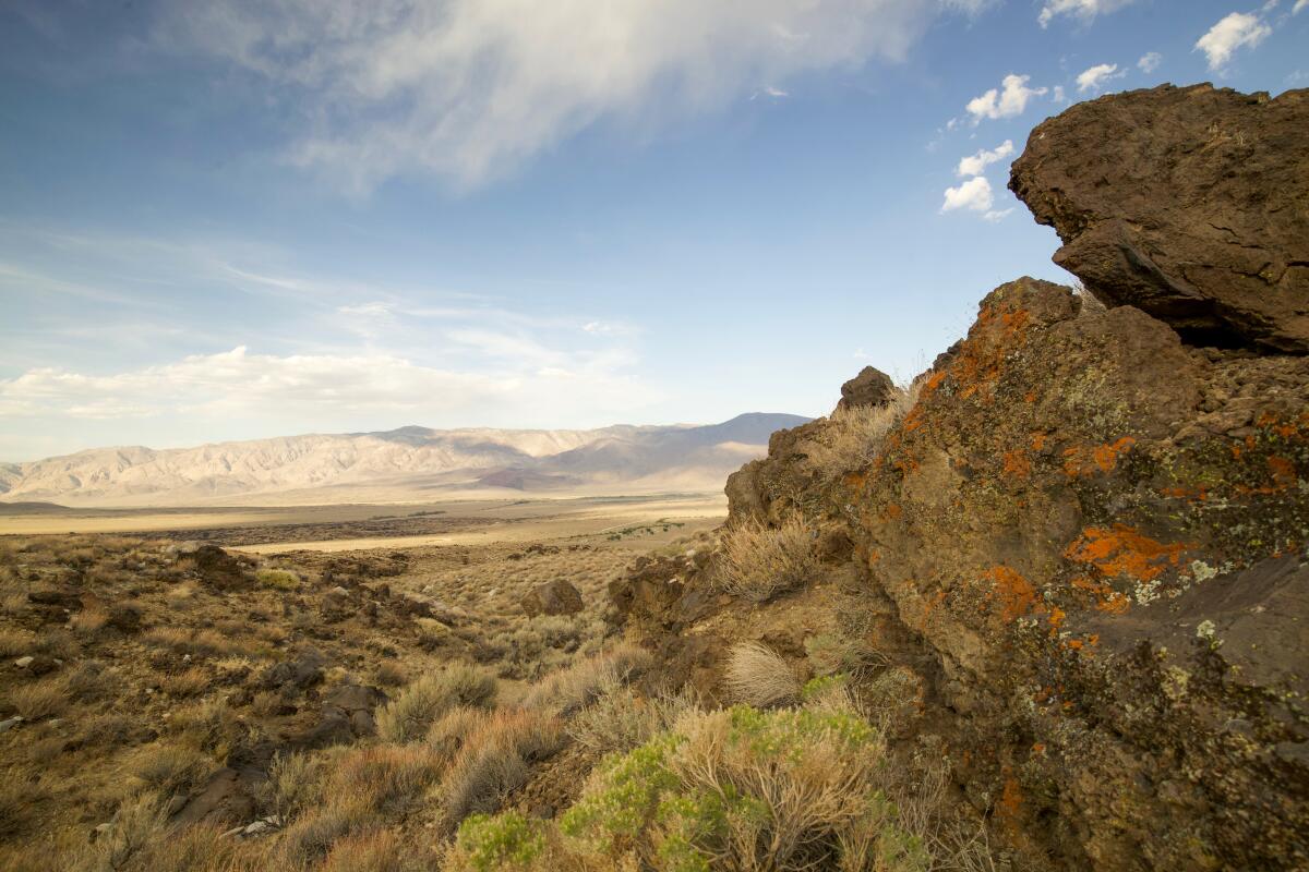 Goodale Creek Campground, Eastern Sierra