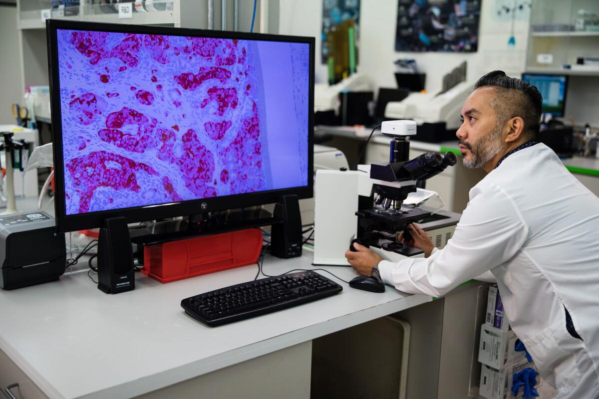A researcher views cells under the microscope at ViaCyte, a San Diego biotech.