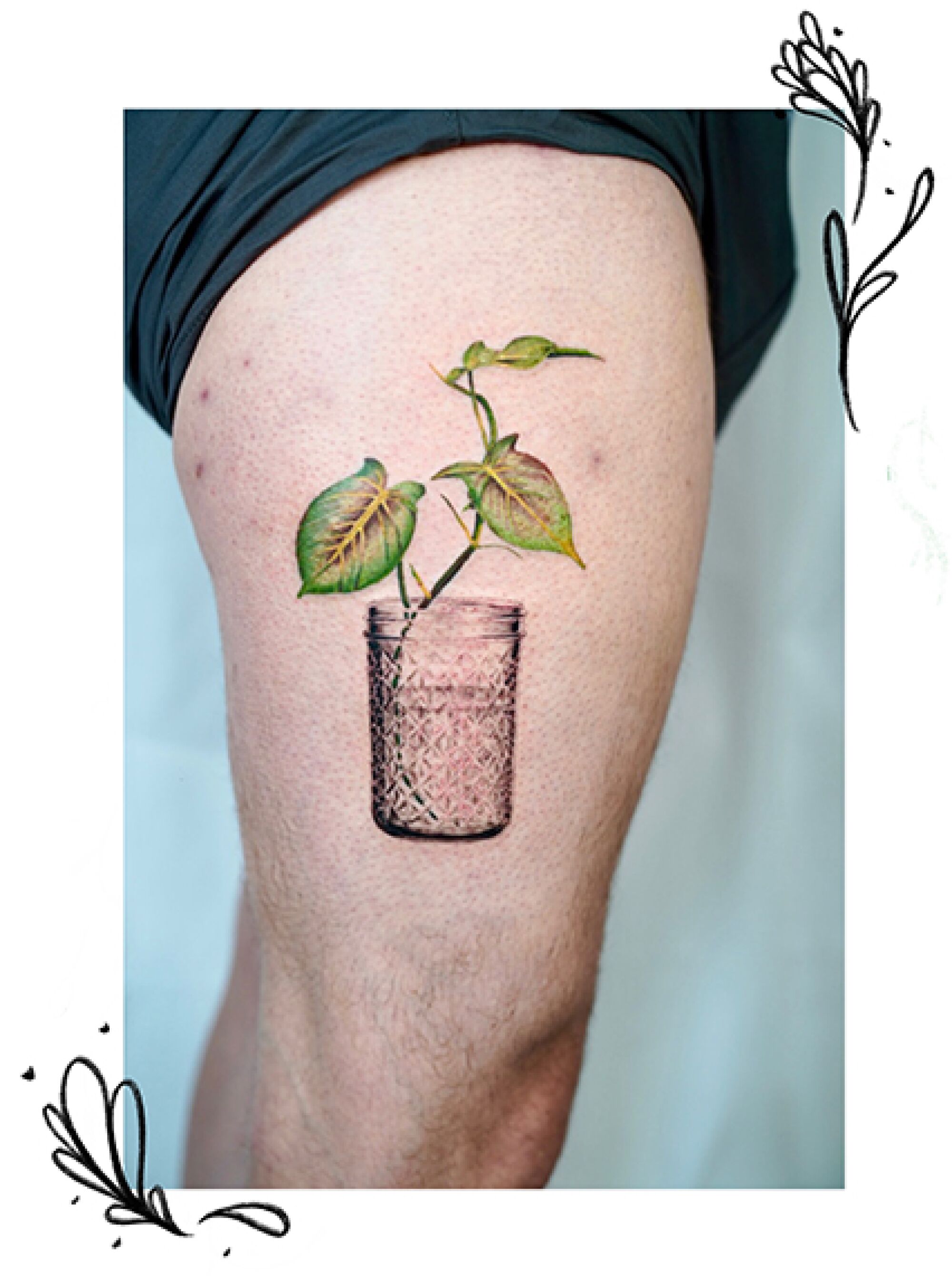 A plant tattoo on a leg.
