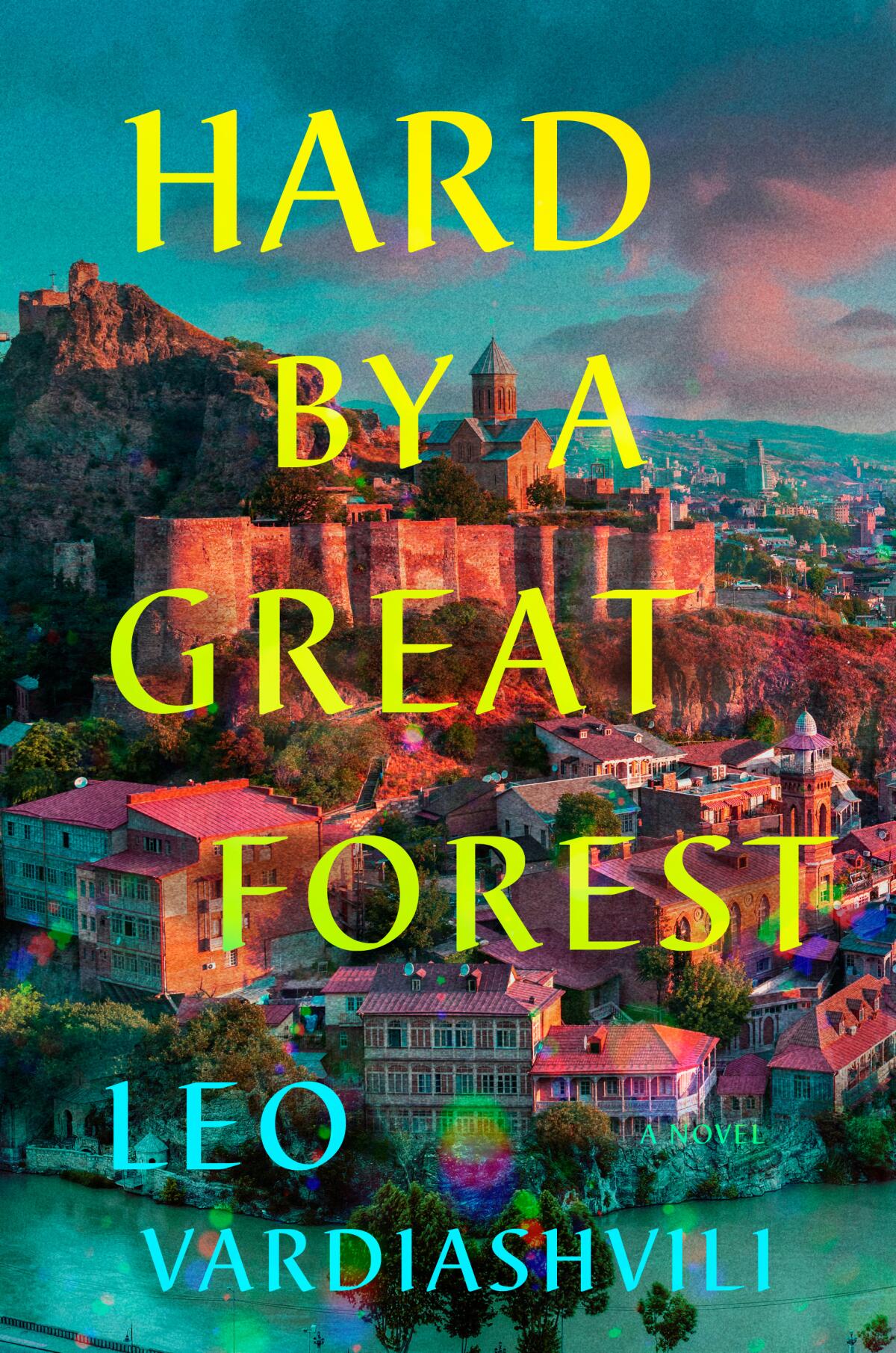 The cover of the book "Hard by a Great Forest" by Leo Vardiashvili