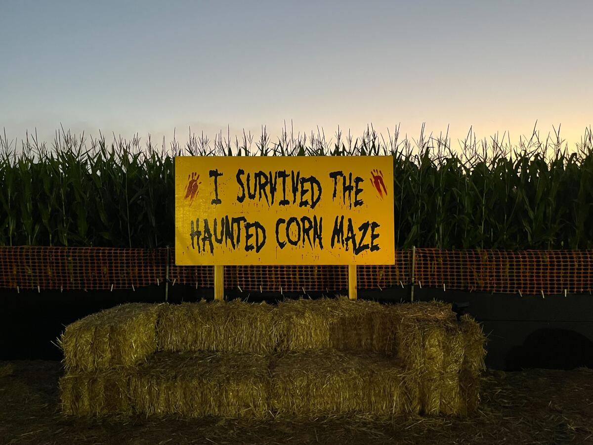 A sign outside the Haunted Corn Maze at Carlsbad Strawberry Company.