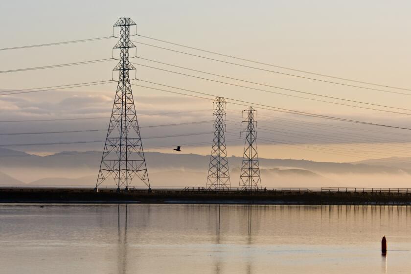 A double-crested cormorant flies past transmission towers in Northern California.