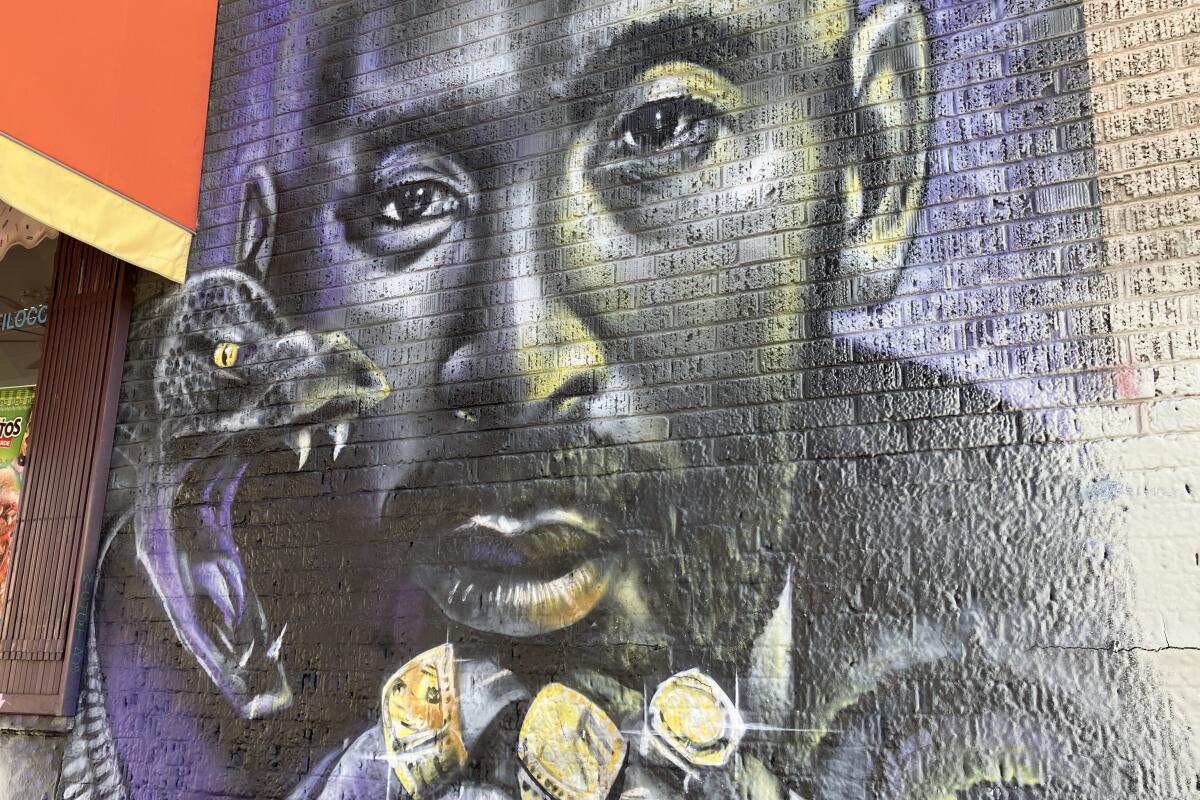 A mural shows Kobe Bryant wearing the NBA title rings he won with the Lakers while a snake is off the side with his fangs out