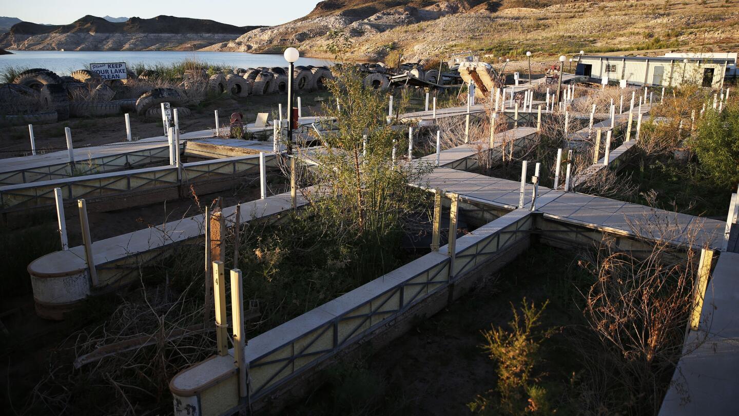 Vegetation grows between boat slips at the now-defunct Echo Bay Marina in the Lake Mead National Recreation Area near Las Vegas.