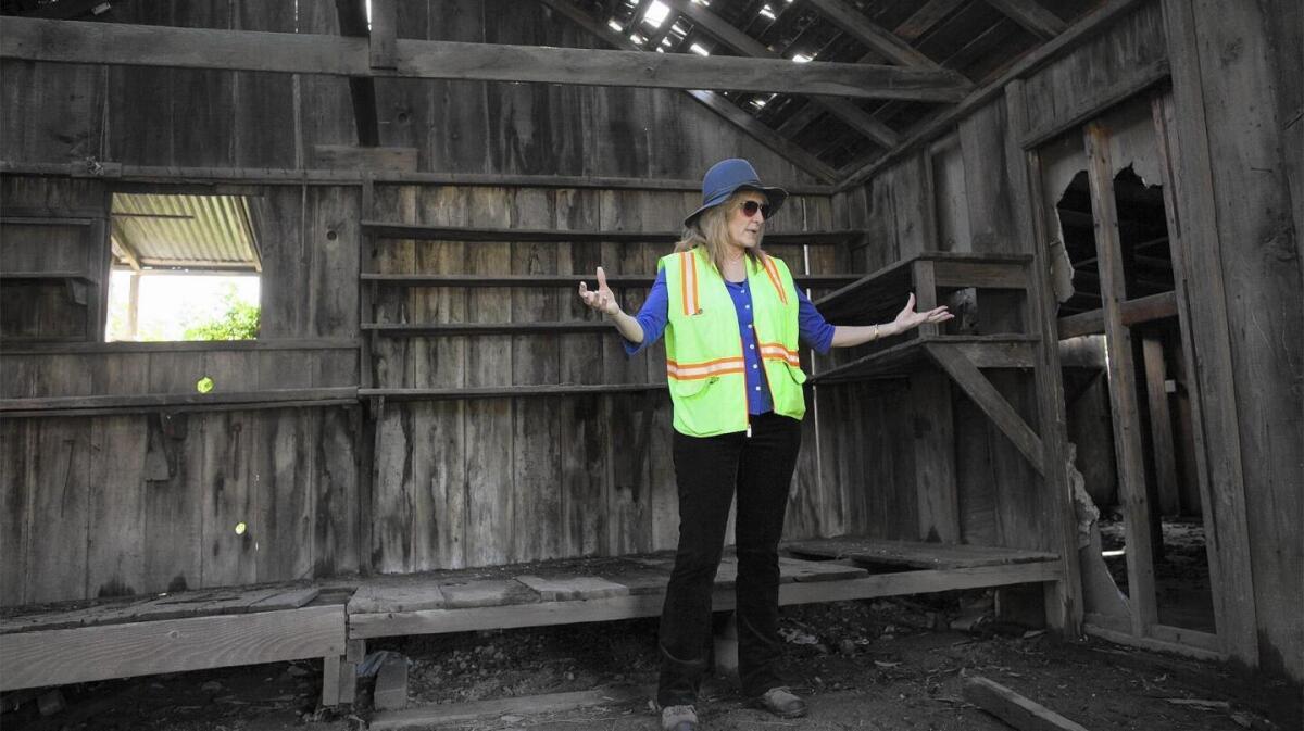 Mary Urashima speaks inside the barn during a tour of Historic Wintersburg in 2017.