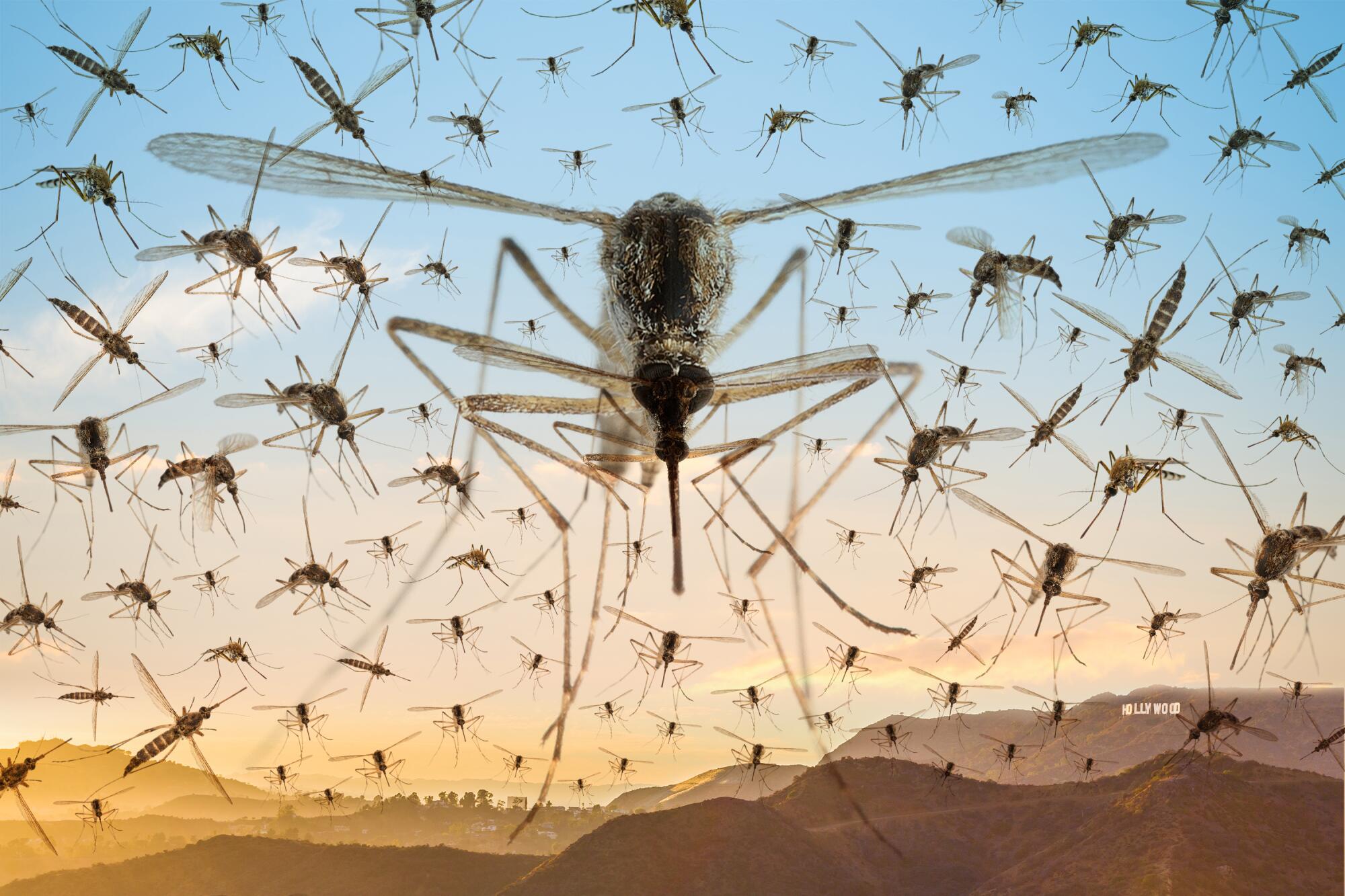 photo illustration of many mosquitoes in the sky over Los Angeles