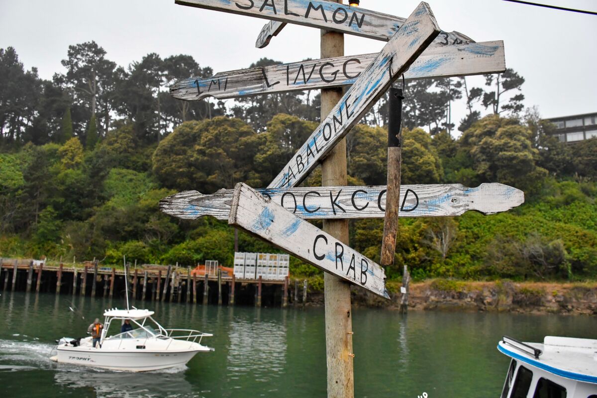 A signpost at Noyo Harbor indicates different types of fish and seafood.