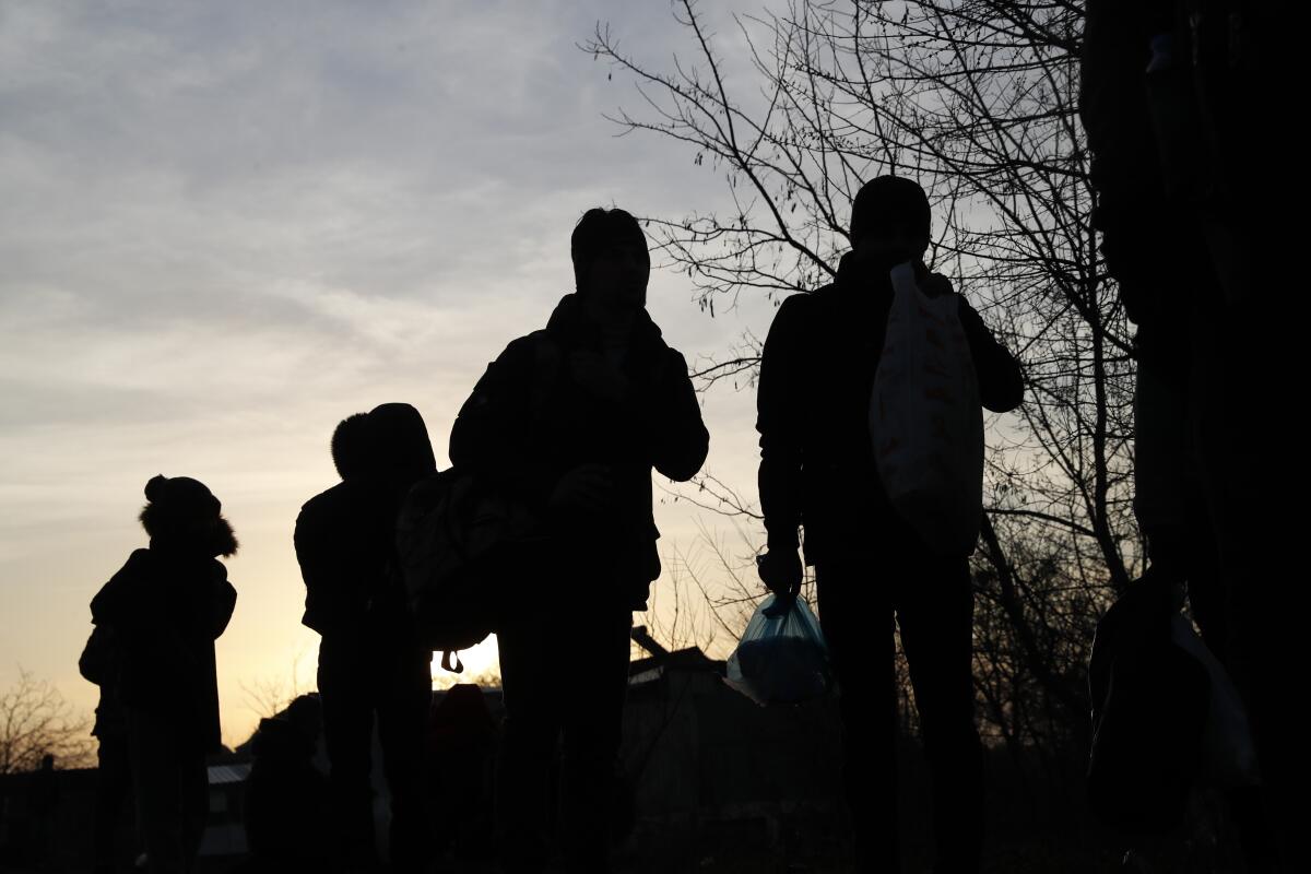 Four people, outlined in shadow, appear to gaze into the distance as they stand near a tree