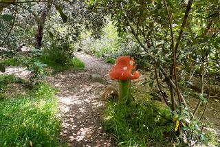 The Children's Garden in Elysian Park, before the clearance of plants around a mushroom statue.