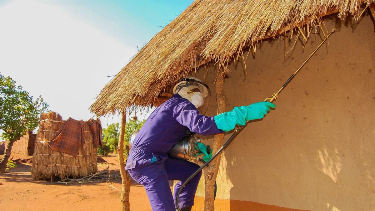 A member of an insecticide spraying team sprays under the eaves of a hut in a village in Katete District of Zambia's Eastern Province.