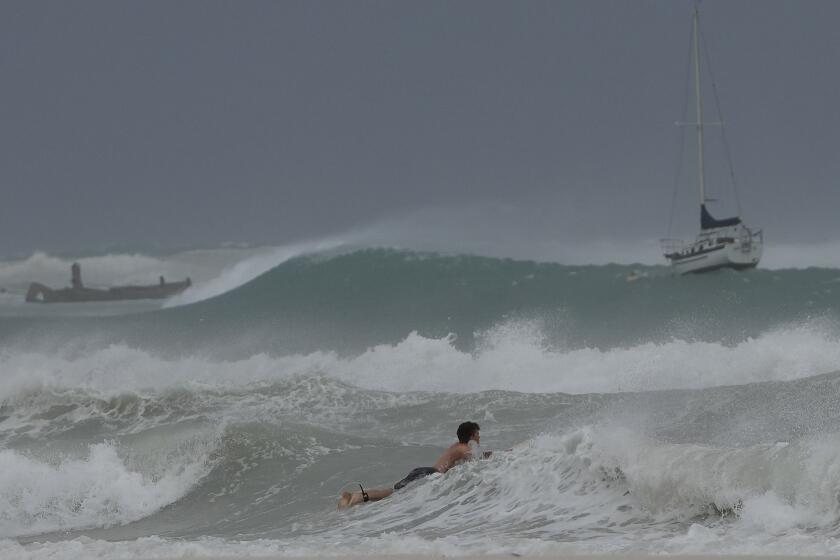 A surfer braves the waves in Carlisle Bay as Hurricane Beryl passes through Bridgetown, Barbados, July 1, 2024. (AP Photo/Ricardo Mazalan)