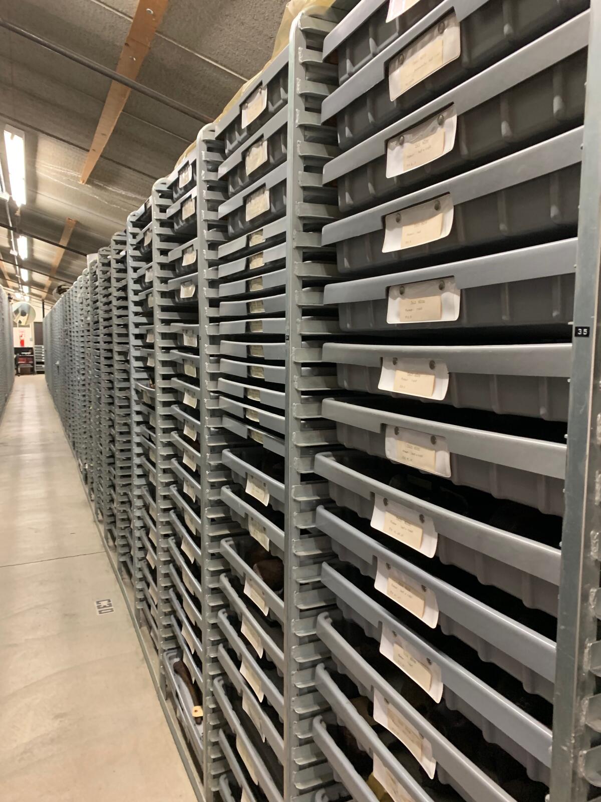 Trays where fossils are stored