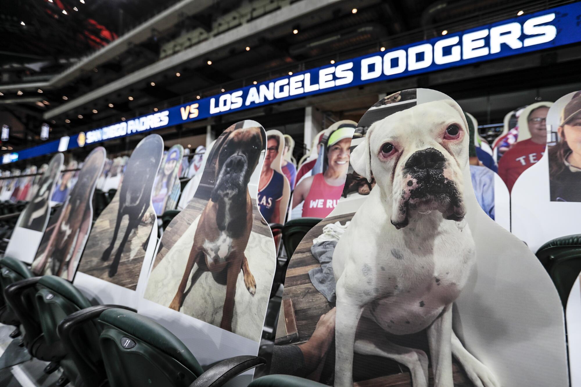 Some of the cardboard cutouts in the seats at Globe Life Field in Arlington, Texas.