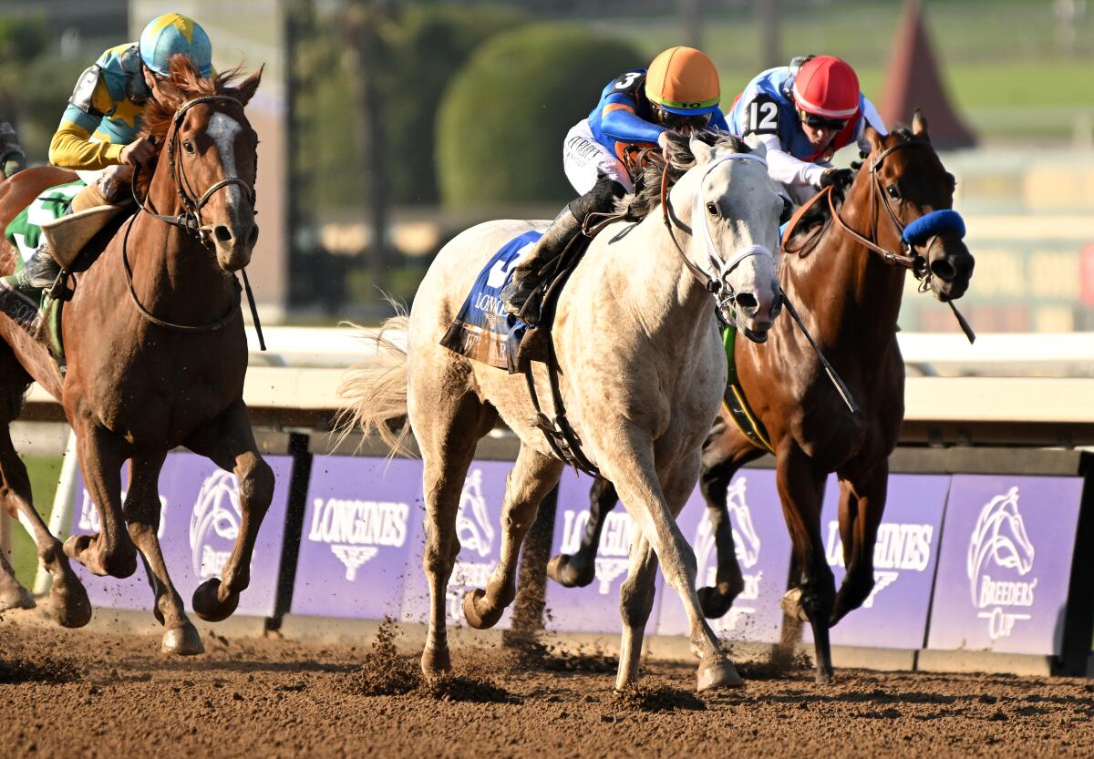 Jockey Irad Ortiz Jr. rides White Abarrio to victory in the Breeders' Cup Classic on Saturday.