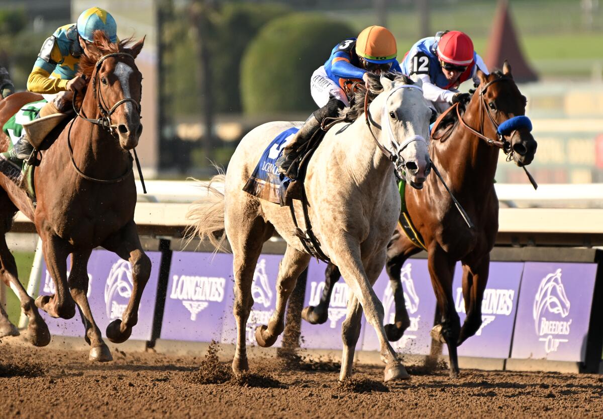 Tay đua Irad Ortiz Jr. cưỡi White Abarrio để giành chiến thắng trong Breeders 'Cup Classic vào thứ Bảy.