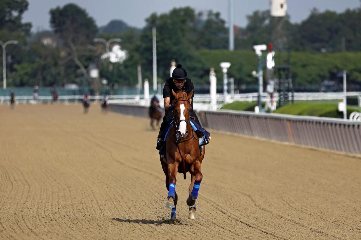 Justify works out at Belmont racetrack on Friday.