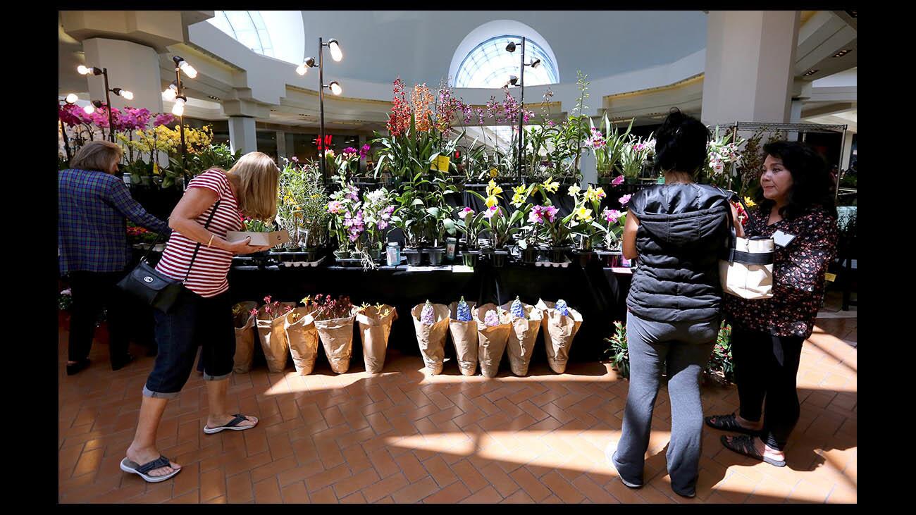 30th Southern California Spring Garden Show takes root at South Coast Plaza  - Los Angeles Times