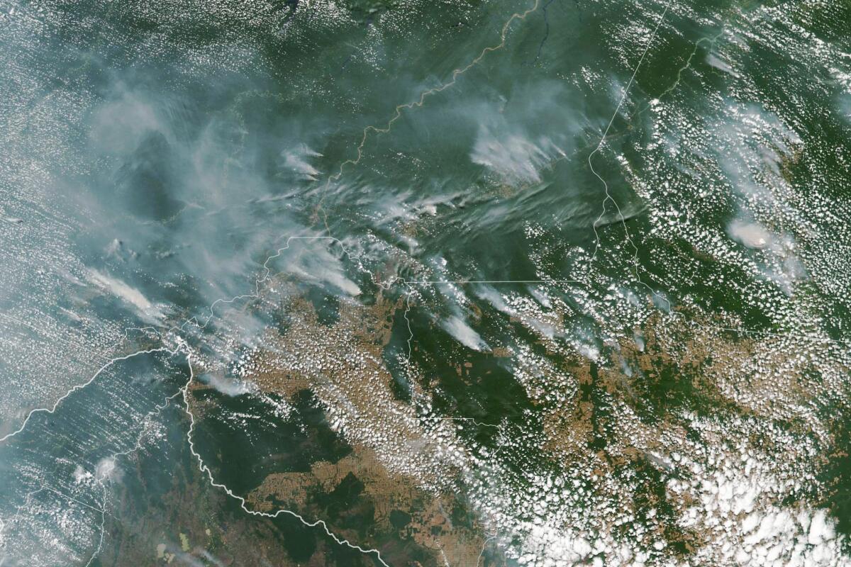 Multiple fires in the Amazon rainforest as seen from space
