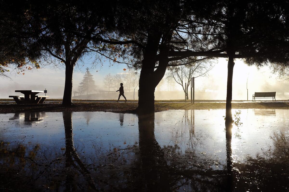 A walker strolls past rain puddles at Lake Balboa Park in Van Nuys on Jan 7.