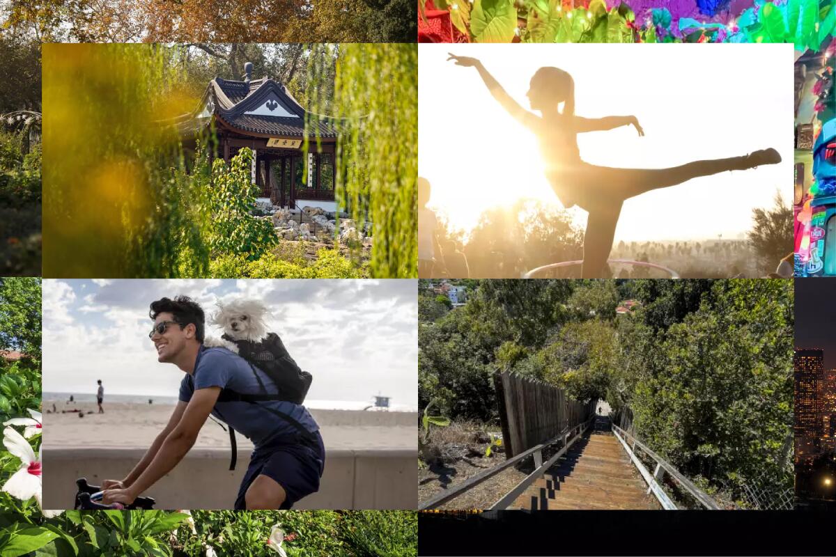 Collage of images with a building at a botanical garden, a dancer, a man biking with his dog and steps along a hiking trail.