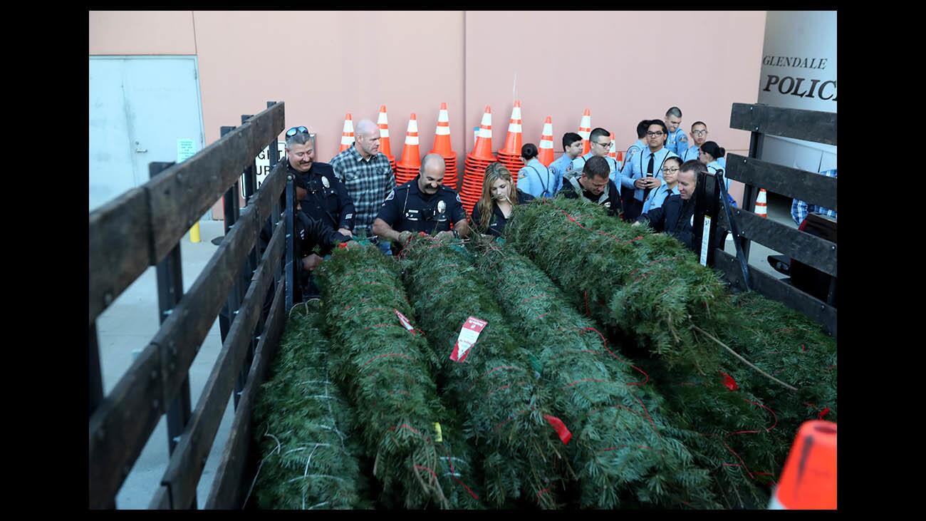 Photo Gallery: Glendale Police delivers Christmas trees to needy families