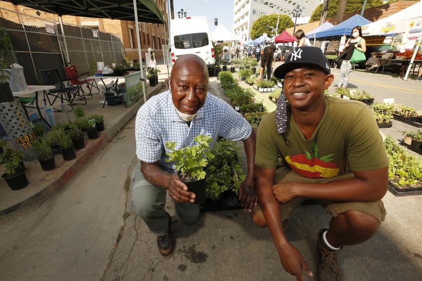 Black nursery owners Jimmy Williams, 79, and son Logan, 34,  smile and take a knee amid their seedlings.
