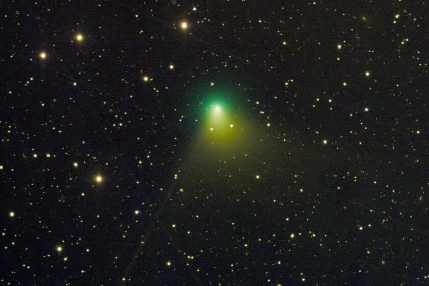 Eliot Herman used a remote iTelescope from Mayhill, New Mexico, to capture this image of Comet 2022 E3 ZTF on December 31, 2022. Eliot wrote: "Comet 2022 E3 on the last day of 2022. This comet is expected to be the brightest one of 2023. The comet should grow brighter in the next weeks."