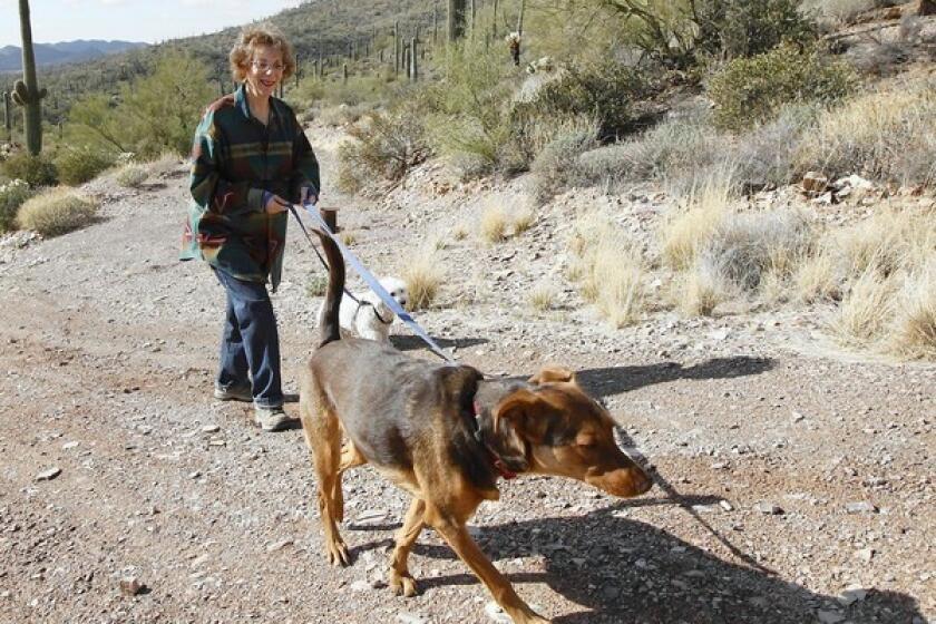 Andrea Markowitz walks her dogs in Phoenix.