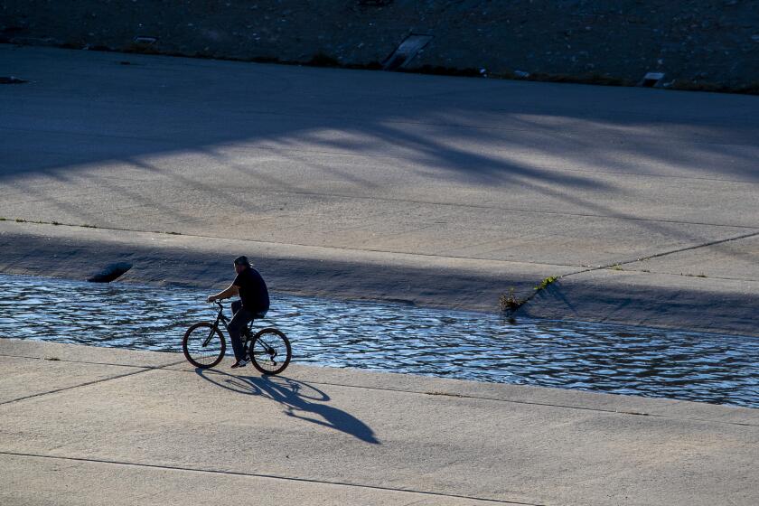 SOUTH GATE, CA - JANUARY 10: A cyclist rides in the Los Angeles River Sunday, Jan. 10, 2021 in South Gate, CA. (Brian van der Brug / Los Angeles Times)