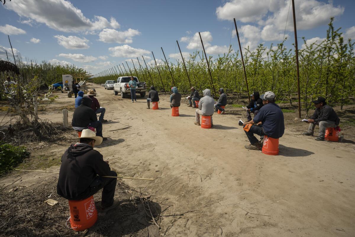Workers sit on buckets and listen to a presentation on a dirt path