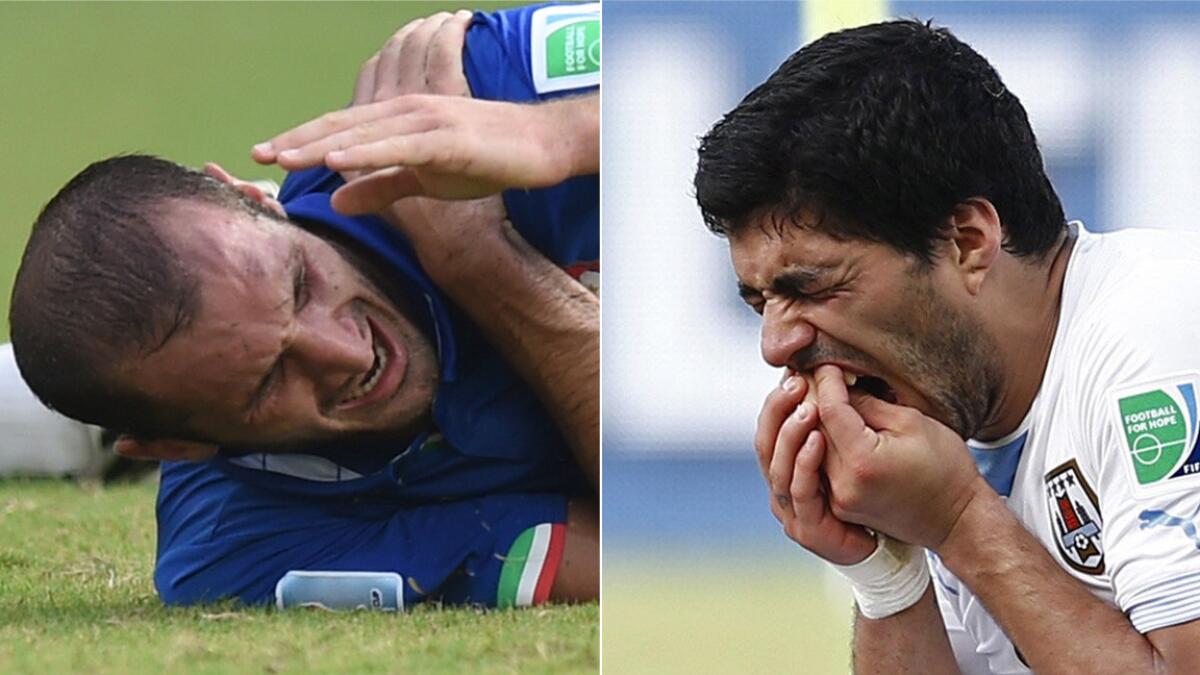 Italy defender Giorgio Chiellini, left, reacts after allegedly being bitten on the shoulder by Uruguay forward Luis Suarez, right, during Tuesday's World Cup match.