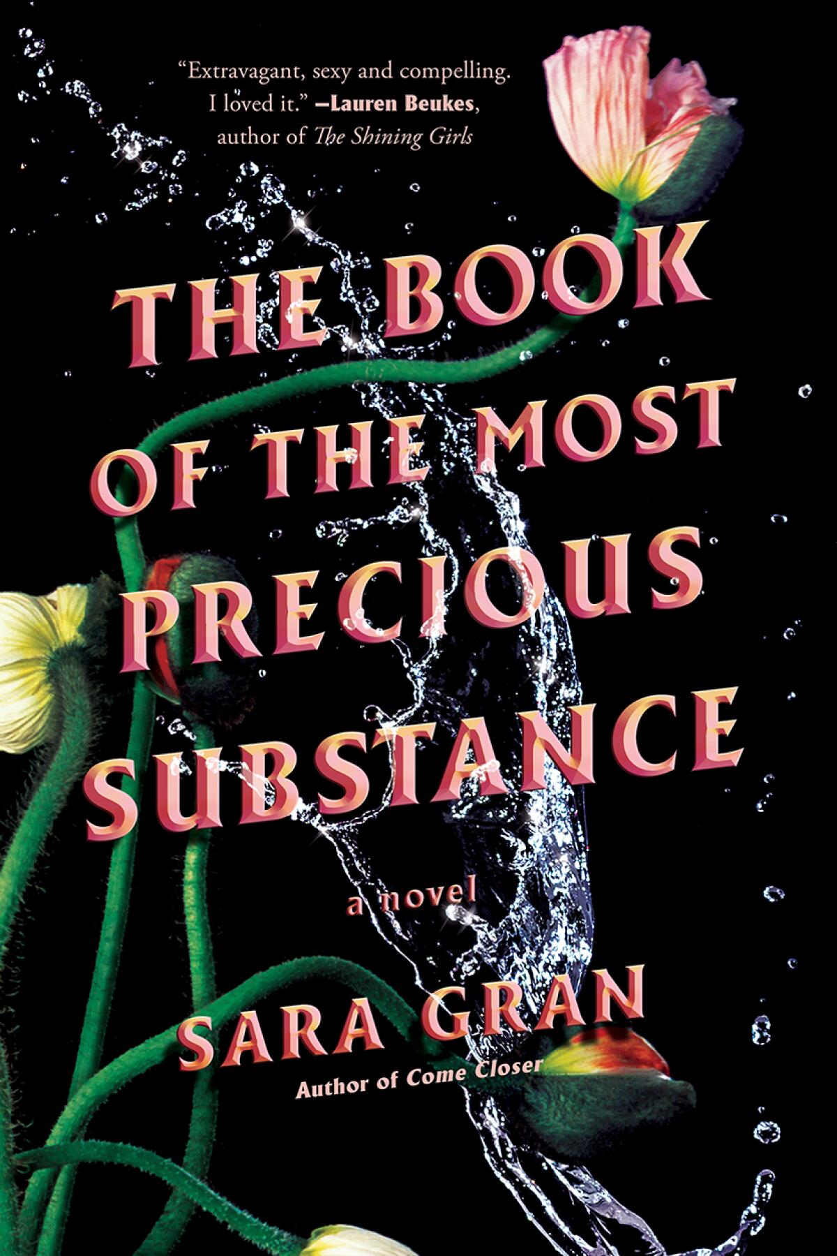 "The Book of the Most Precious Substance," by Sara Gran.