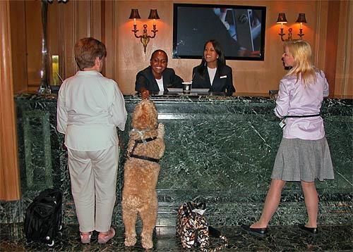 Darby checks in at the Ritz-Carlton, Marina del Rey