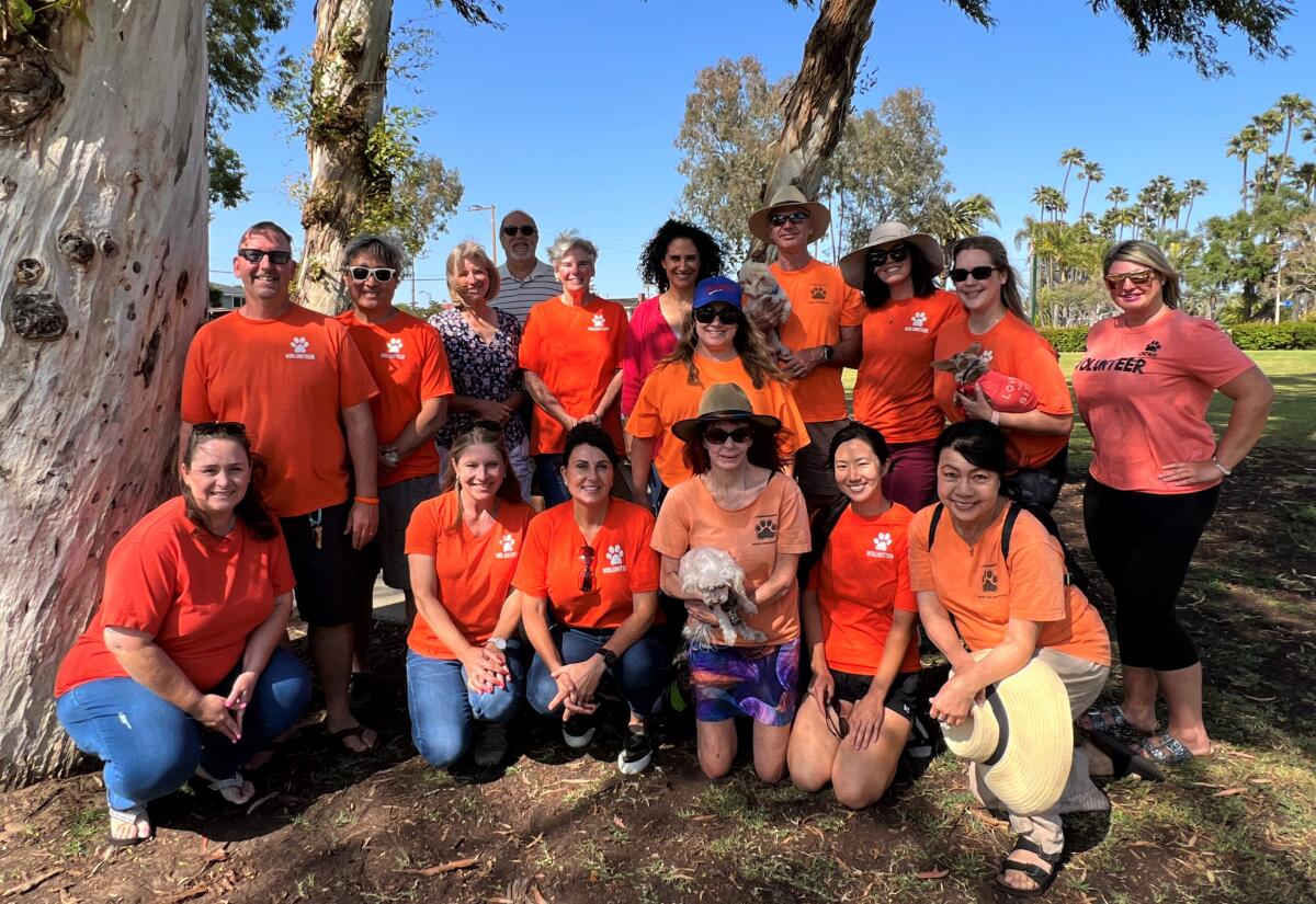 Volunteers with the Orange County Humane Society will work at a June 10 facility-wide adoption event in Huntington Beach.