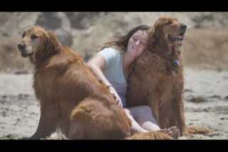 Visiting the dog beach with Shari Sandberg