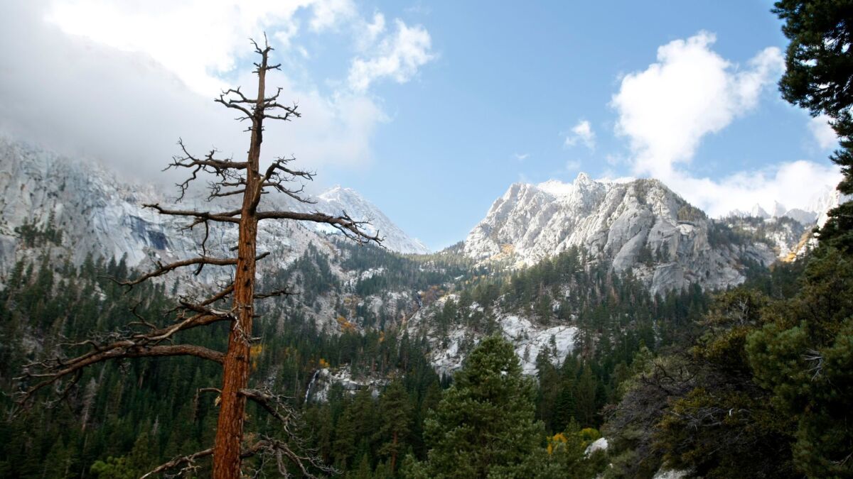 A man died after falling while climbing Mt. Whitney on Friday. The next day, a woman died after falling into the Kaweah River in Sequoia National Park.