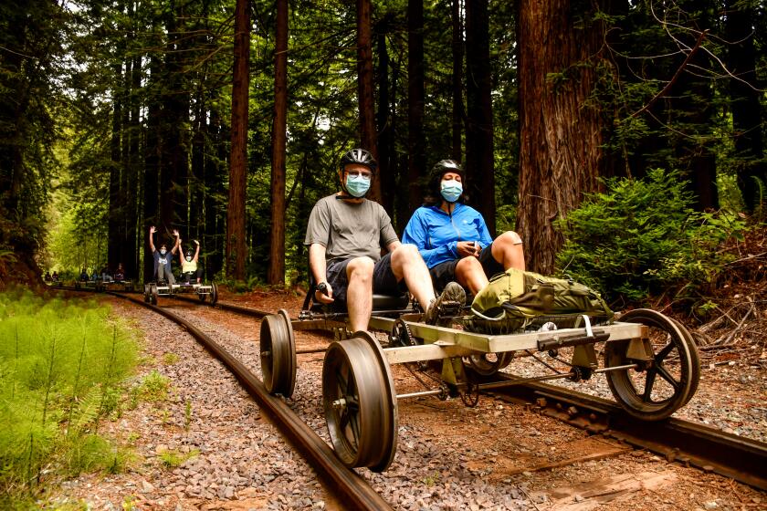 Fort Bragg's Skunk Train, a 19th-centjry rail route through redwood forests, has added Railbikes that allow visitors to pedal in pairs on the tracks.