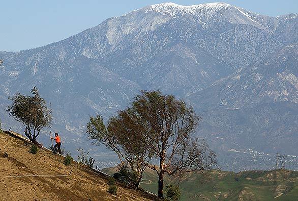 To rebuild or not in Yorba Linda