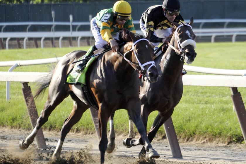 Jockey Mike Smith, left, rides Palace Malice as he races against Oxbow and jockey Gary Stevens during the Belmont Stakes in June. The veteran duo hasn't let their "Geritol Jocks" nickname prevent them from winning on a regular basis.